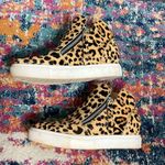 Steve Madden  Caliber Leopard Wedge Sneaker Bootie size 6 Mobwife Photo 4