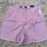 Wild Fable NWT 18W Highest Rise A-Line Shorts In Lavender Purple Photo 1