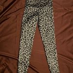 Pink Lily Leggings Photo 0