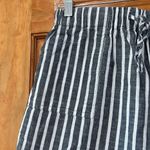 Just living  Blue and White Striped Shorts Size Large Photo 1