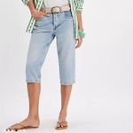 Free People We The Free Sun City Capris Jeans in Pale Indigo Photo 2