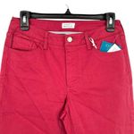 Market & Spruce  Flat Front Slim Mid Rise Pants Dark Coral Pink Size 6 NWT Photo 2