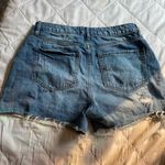 Nature Denim  Jean Shorts Photo 1