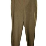 Talbots  Heritage Tan Flat Front Side Zip Slacks Women's Size 14 Petite Photo 0