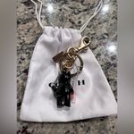 Coach  NWT 2024 Halloween Black Cat with Pumpkin Key Chain / Bag Charm CW480 Photo 2