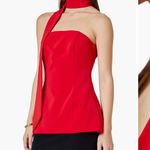 Endless Rose  Sleeveless Choker Tie Top Photo 2