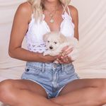 ✨ Sweet One Crochet Lace Bralette✨ White Size L Photo 1