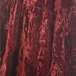 Vintage crushed velvet burgundy rust red peasant goth skirt maxi a line medium Size undefined Photo 8