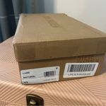 Steve Madden Heels Luxe Nude Block Sandals Natural Cocktail Casual Neutral Photo 8