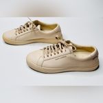 Saint Laurent Women’s Andy Beige Cream Leather Round Toe Trainers Sneakers Photo 4