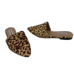 Steve Madden Trace Mule Womens Shoes Sz 6M Leopard Festival Indie Fur Safari Photo 1