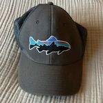 Patagonia Hat Photo 0