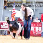 Very J  small Photo 2