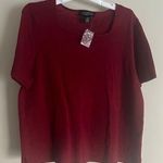 Dialogue  Knit Top Merino Wool Short Sleeve Womens Size 1X Photo 0