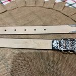 Rag and Bone Baby Spire Snakeskin Hip Belt with Triple Silver Rings Sz L Photo 6