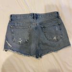 AGOLDE  Denim Shorts Photo 2