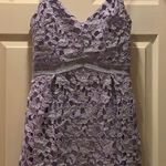 The Impeccable Pig Lavender Lace Overlay D… Photo 0