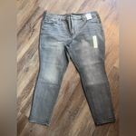 Terra & Sky Nwt  high rise skinny jeans size 18W petite Photo 0