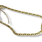 Madewell Pomegranate Seed Gold Chunky Cable Chain Adjustable Choker Necklace Photo 0