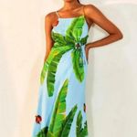 Farm Rio ๐๐ Blue Fresh Bananas Midi Dress ~ Tropical Banana Leaf Print XL NWT Photo 4