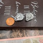 Strawberry Clip Photo 4