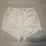 Garage  FESTIVAL SHORTS Photo 1