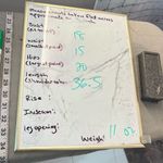 Calvin Klein sleeveless vibrant colorful spring summer sheath dress size 6 Photo 8