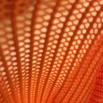 Cyrus light weight ribbed long sleeve scoop neck Top size Medium NWT Photo 5