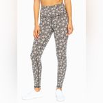 Zobha  Work Out Set | Size: Large Photo 4