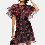 Topshop floral organza Homecoming dress with flowy bell sleeves Photo 0