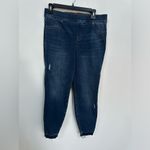 Spanx Distressed Pull-On Ankle Skinny Jeans, Medium Wash, Size XL Petite Photo 9