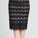 NIKIBIKI New Black Lace Eyelash Pencil Skirt Size Small, Medium or Large Photo 0