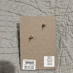 Anthropologie  Gold and Iridescent Earrings Photo 1