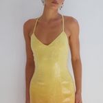 RUNAWAY THE LABEL Niyah Maxi Dress in Mimosa Ombré size small nwt Photo 1