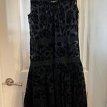Coach 335  Floral Devore Dress Size 4 Color Black Photo 6