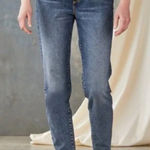 Driftwood  Size 28 Gizelle Classic Fit Girlfriend Denim Jeans Photo 0