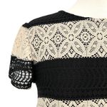Maggy London Lace Striped Shift Short Sleeve Dress Black Ivory Cream Size 10 Photo 2