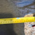 Eileen Fisher Charcoal Gray Long Sleeve Asymmetric Tunic Top M/M Photo 2