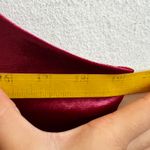 Wild Fable Red Velvet Rosette Top Victorian Gothic Romantic Vampire Whimsigoth Large Photo 5