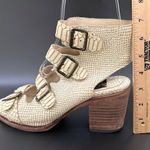 FREEBIRD by Steven Quail Ivory Textured Snake Leather Buckle Gladiator Sandals 9 Photo 12