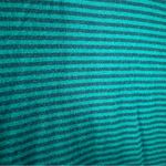 Terra & Sky  blue green striped long sleeve tee size 2X Photo 1