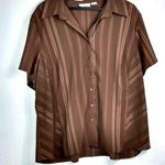 Worthington  2X Striped Top Short Sleeved Plus Workwear in Chocolate Mocha Photo 0