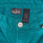 City Streets  Turquoise Denim Pants size 7 Photo 2