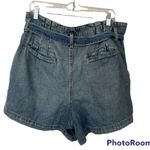 American Eagle  Mom Short size 16 Photo 1