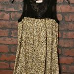 belle du jour Lovely Animal Print Top Lace M Photo 0