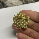 10th Year Falling Leaf Rally Brooch 1985 Tack Pin For BMW MOTORCYCLE CLUB Red Photo 6