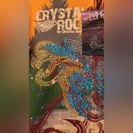 Christian Audigier Crystal Rock Women’s Orange Rhinestone Hoodie Size Small Photo 4