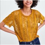 ZARA Trafaluc Lace Velvet Crop Top Mustard Gold Yellow Womens NWOT Photo 0