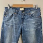 Big star Alex Light Wash faded Cropped crop ankle stretch skinny jeans women 30 Photo 1