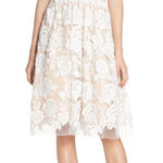 Eliza J Embroidered Mesh Fit & Flare Dress | 12 NWT Photo 0